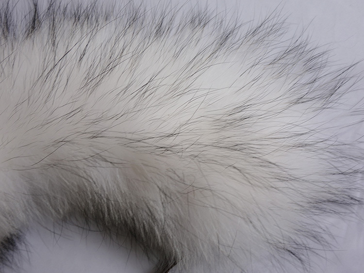 Raccoon fur