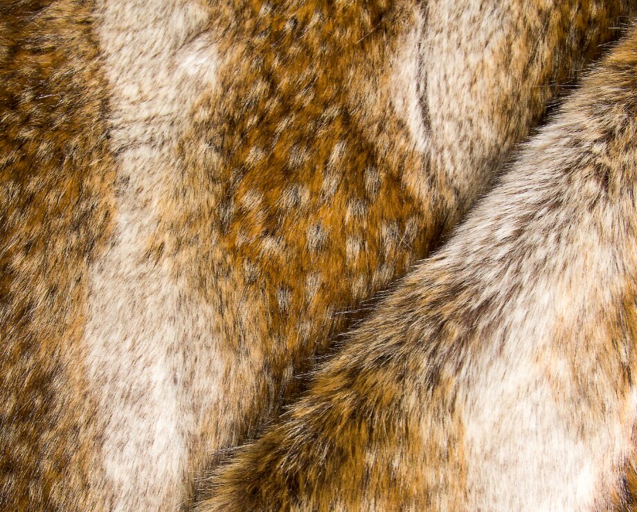 Leopard print series